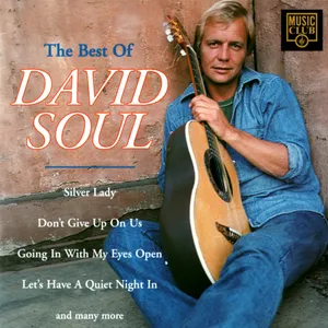 The best of David Soul